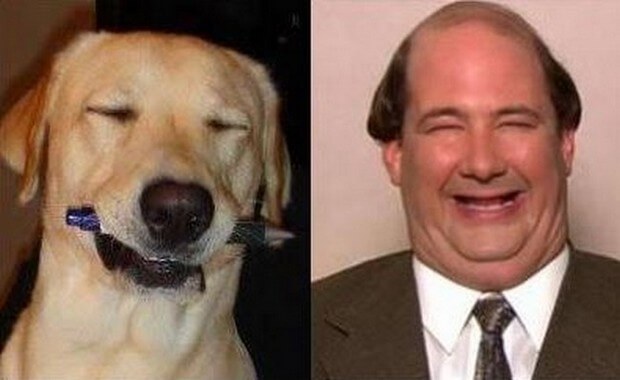 animals that look like celebrites 15