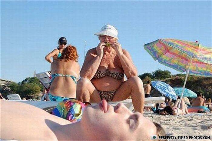 perfectly timed photos 11