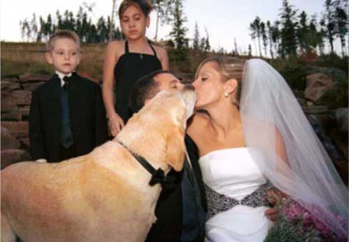 the most hilarious wedding photos ever 2