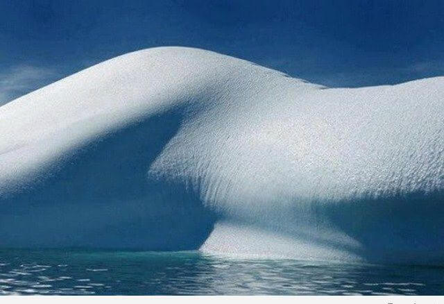 awkwardly timed photos that will make you double take 4