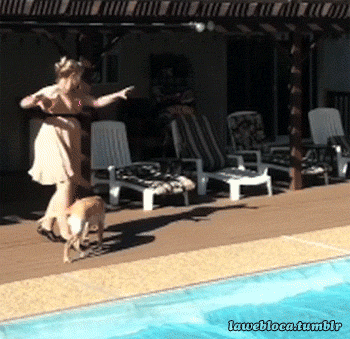funniest gifs of the week 2