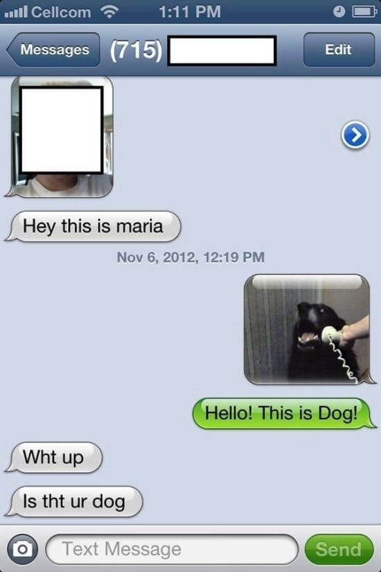 hilariously creative text replies 13