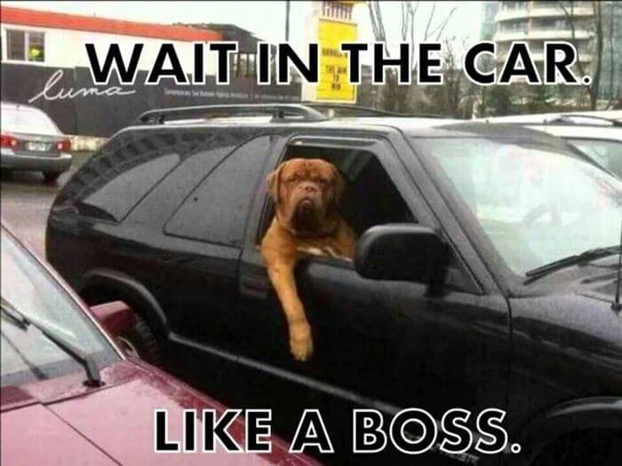 like a boss 8
