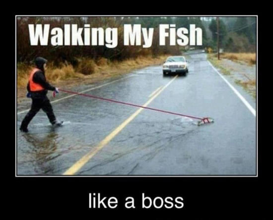 like a boss 9