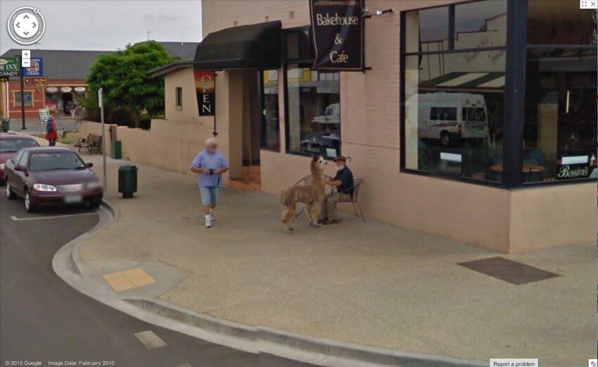 hilarious images caught on google maps street view 16