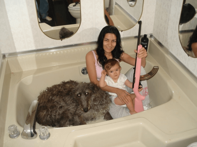 most insane wtf photos 15