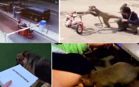 Best Gifs Of The Week