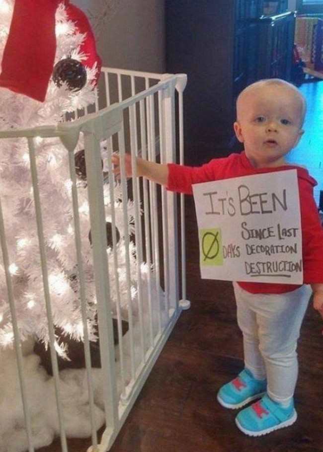 funny christmas photos 15