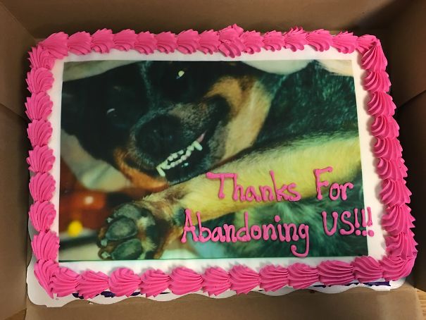 hilarious farewell cakes 16