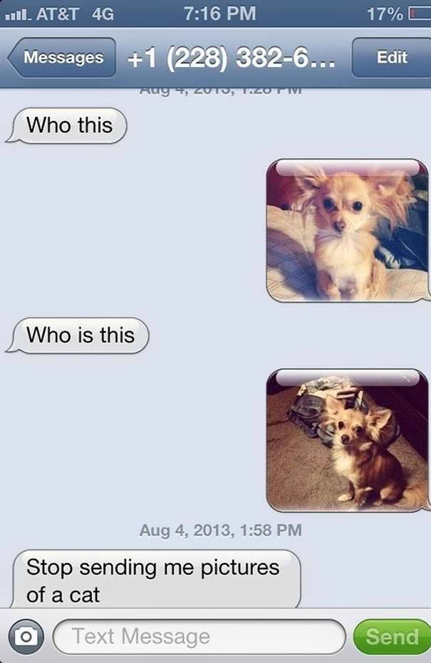 funniest replies to wrong number 6