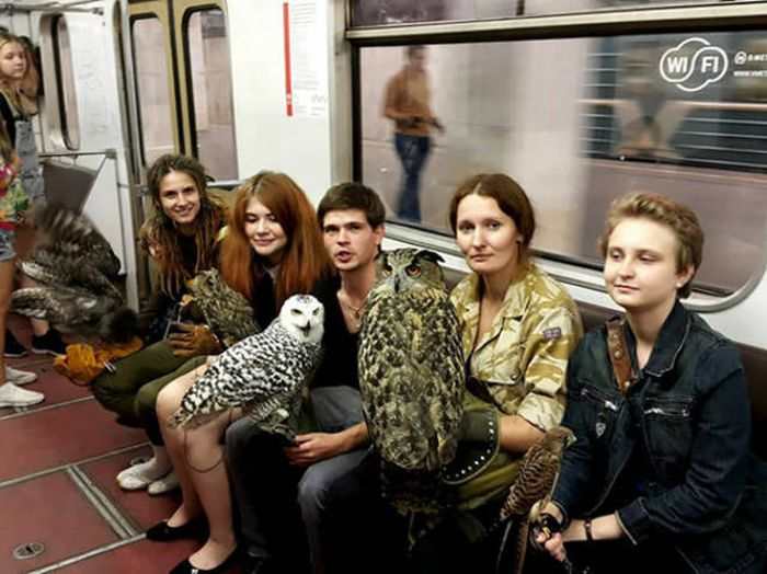 Subway Strange People Meet 8