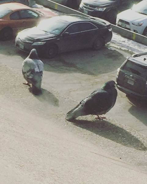 Look Twice 13